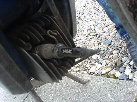 Piaggio Vespa Ciao *SOLGT* billede 5