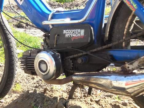 Puch maxi lort solgt billede 7