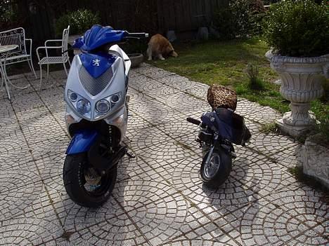 Peugeot Speedfight 2 AC SOLGT billede 14