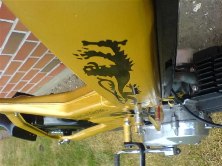 Puch Maxi k ( Guldbamsen ) billede 4