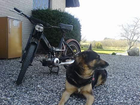 Puch k **SOLGT** billede 2