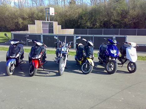 Giantco Sprint billede 7