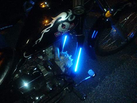 Regal regal raptor  Byttet! billede 2