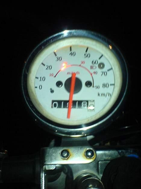 Regal regal raptor  Byttet! billede 3