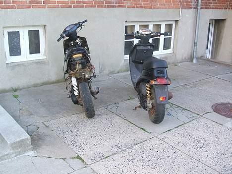 Adly pista solgt billede 6