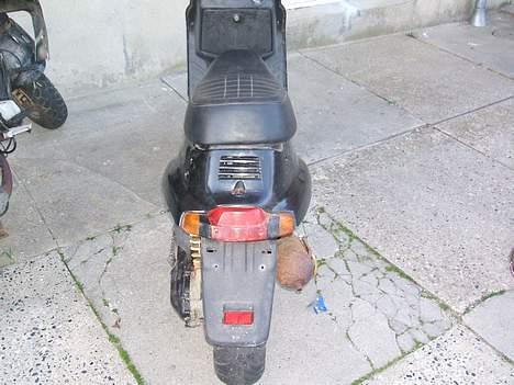 Adly pista solgt billede 7