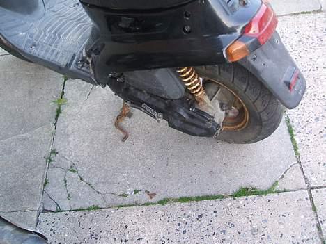 Adly pista solgt billede 8