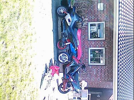 Piaggio NRG baneracer (SOLGT) billede 13