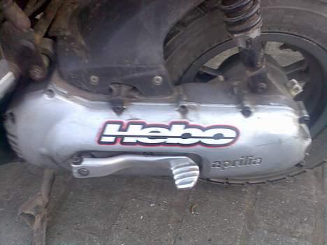 Aprilia rally billede 5