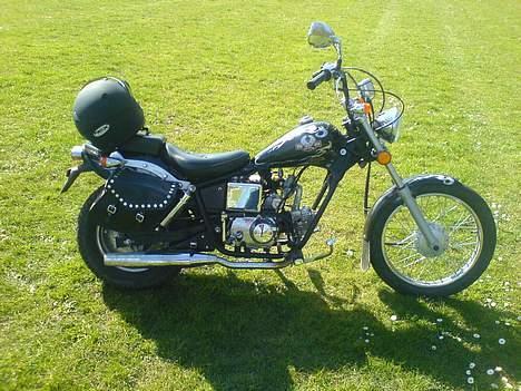 Regal regal raptor  Byttet! billede 5