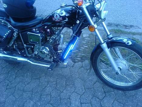 Regal regal raptor  Byttet! billede 6