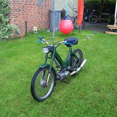 Puch maxi(Før)