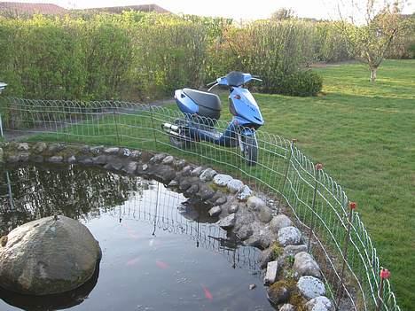 Aprilia Sonic Evo AC billede 8