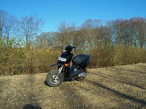 Aprilia Rally (Solgt) billede 4