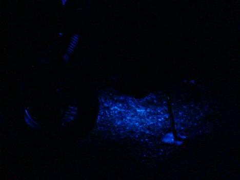 PGO PMX Sport "tilsalg" billede 4