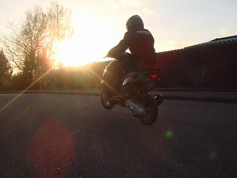 Aprilia Sonic SOLGT - . : så herligt !  billede 5