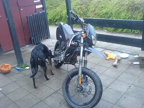 Derbi senda sm 50(solgt) billede 2