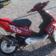 Peugeot Speedfight2WRC206 Solgt