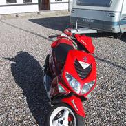 Peugeot Speedfight2WRC206 Solgt