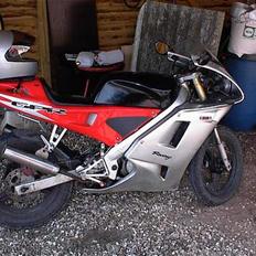 Derbi GPR50R