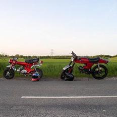 Honda st 50  Dax 4g