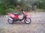 PGO Hot 50