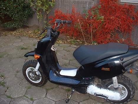 Aprilia Rally billede 5