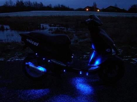 PGO DR. Big #TIL SALG# - Diode Show billede 1