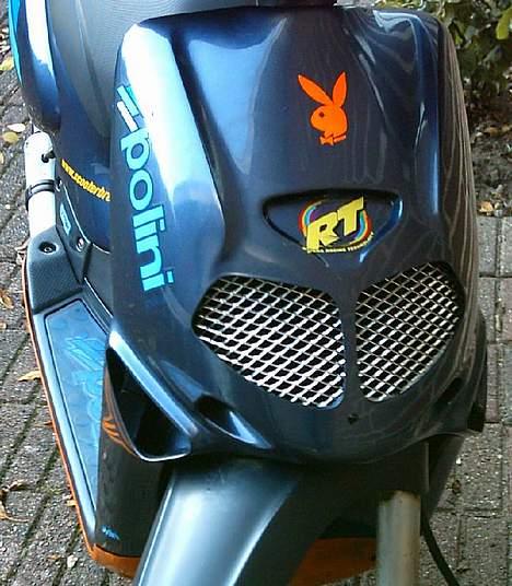 Aprilia Rally billede 5