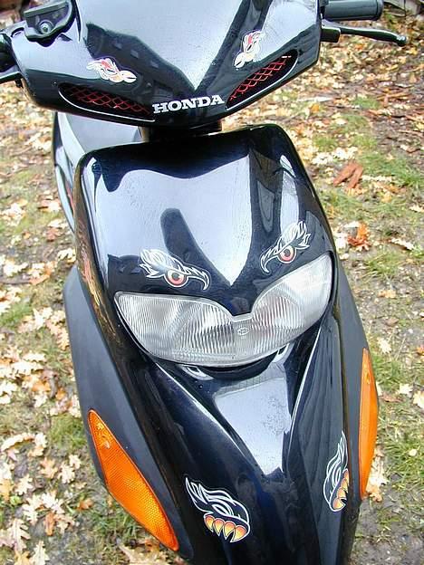 Honda SFX billede 3