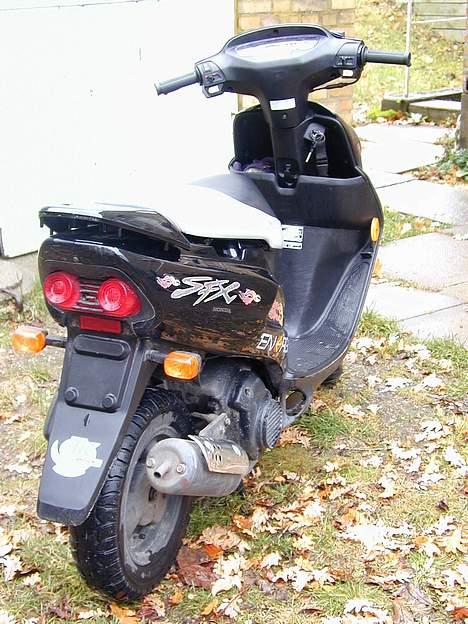 Honda SFX billede 5