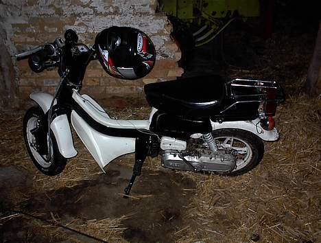 Suzuki Fz 50 billede 1