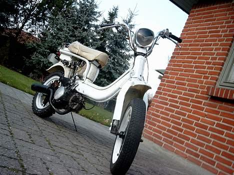 Suzuki Fz50 billede 1