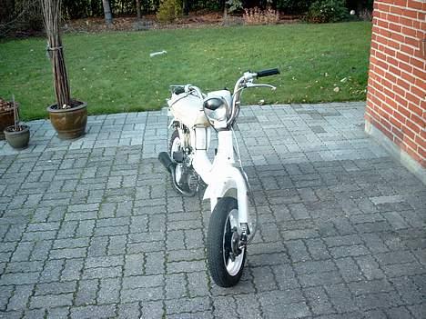 Suzuki Fz50 billede 2