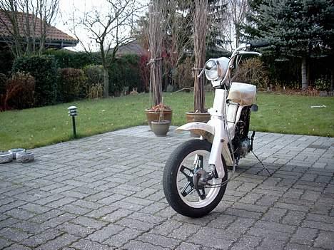 Suzuki Fz50 billede 3