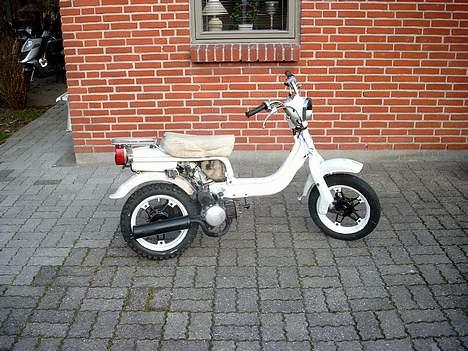 Suzuki Fz50 billede 4