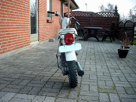 Suzuki Fz50 billede 5