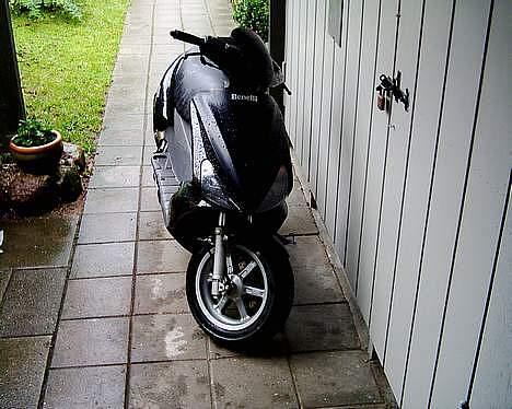 Benelli 491 billede 1