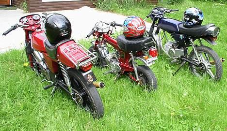 Honda st 50  Dax 4g billede 4