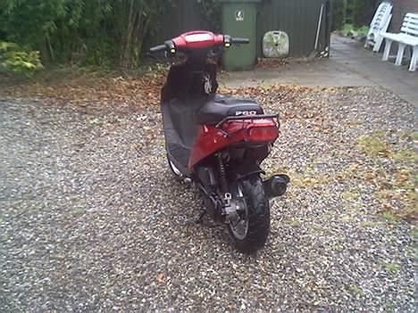 PGO Hot 50 billede 2