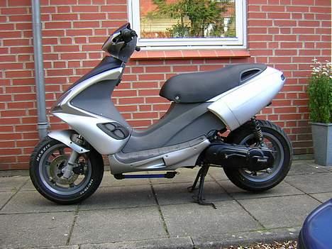 Benelli 491 billede 2