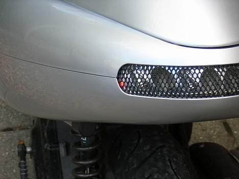 Benelli 491 billede 4