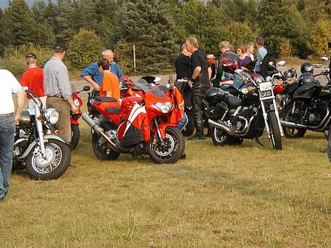 Suzuki SMX (Solgt) billede 3