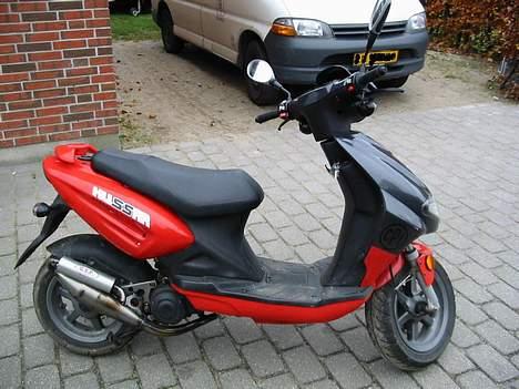 CPI Hussar {solgt} billede 1