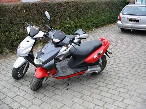 CPI Hussar {solgt} billede 3