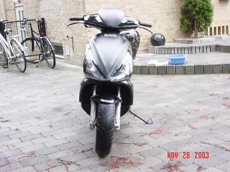 Benelli 491 st billede 4