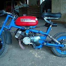 Yamaha Mini 4g