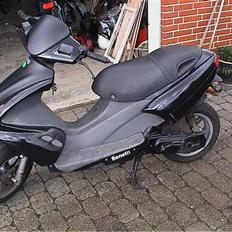 Benelli 491 ST(Byttet til en rmx)