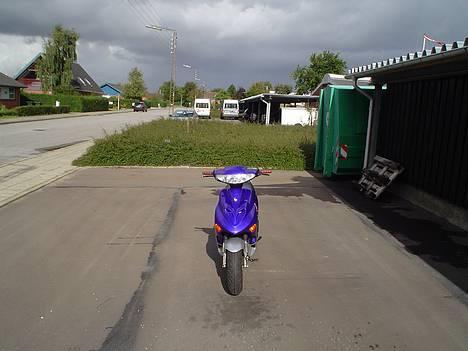 Adly Arriva FUNDET EFTER 1år billede 1