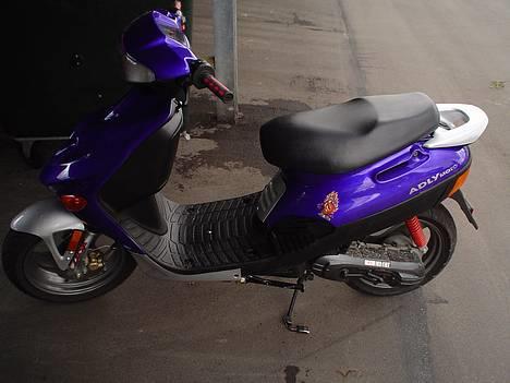 Adly Arriva FUNDET EFTER 1år billede 2